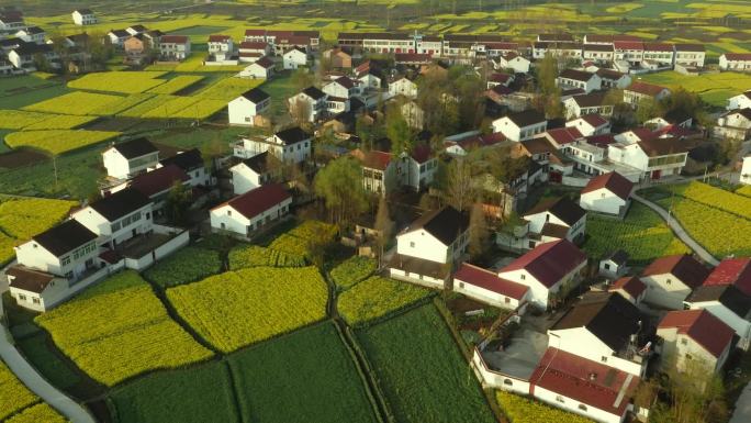 新农村乡镇规划绿色城镇视频素材