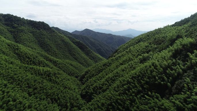 最美江浙山林风光