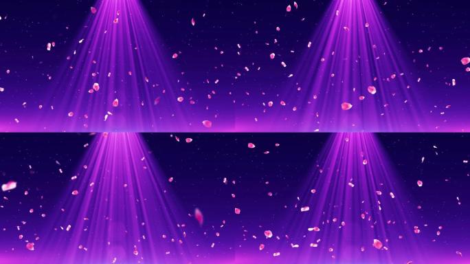 4K花瓣紫色光舞台循环