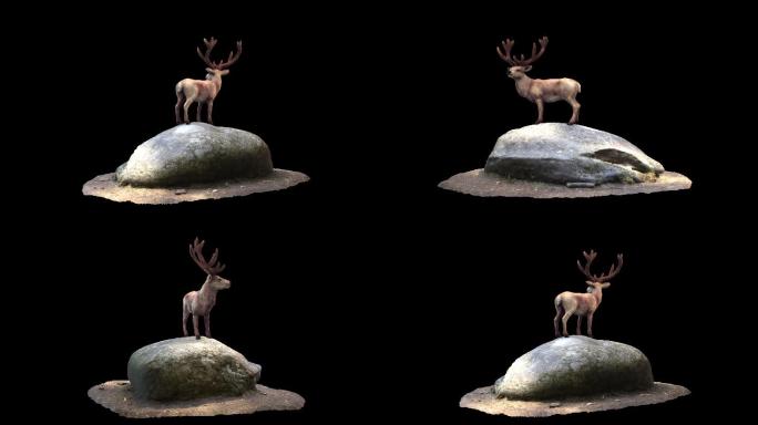 林深时见鹿3D场景动画