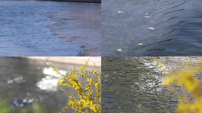 河水，河面，植物初醒，城市初春，万物复苏