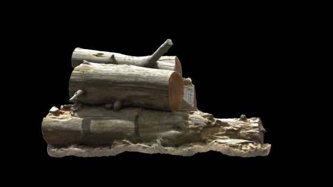 树根树桩木桩3D动画