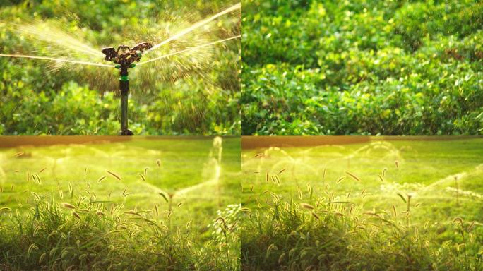 农田浇水农作物丨4K丨原创实拍