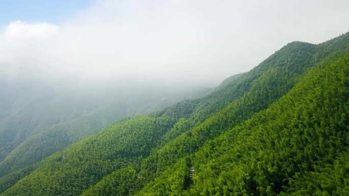 福建邵武青山绿水蓝天白云竹林空境