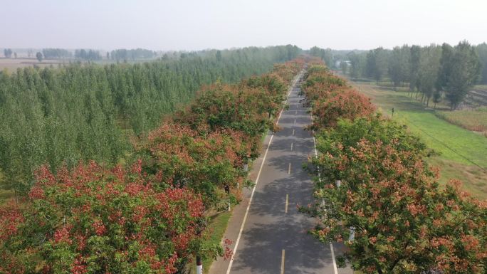 黄河大堤风景航拍