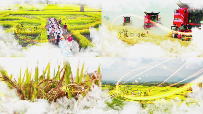 新农村丰收节图文展示AE模板