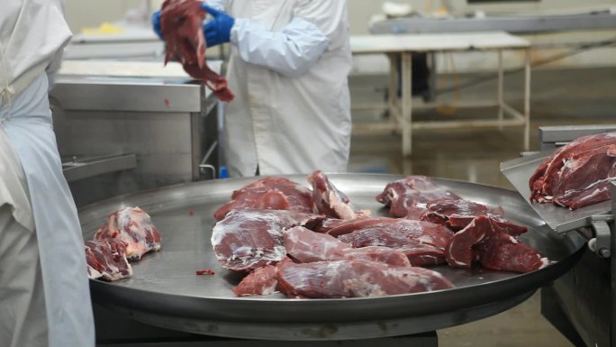 屠宰场肉加工猪肉食品肉制品加工生