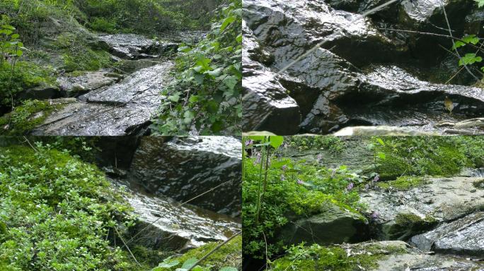4K自然生态山涧清泉溪流环境音