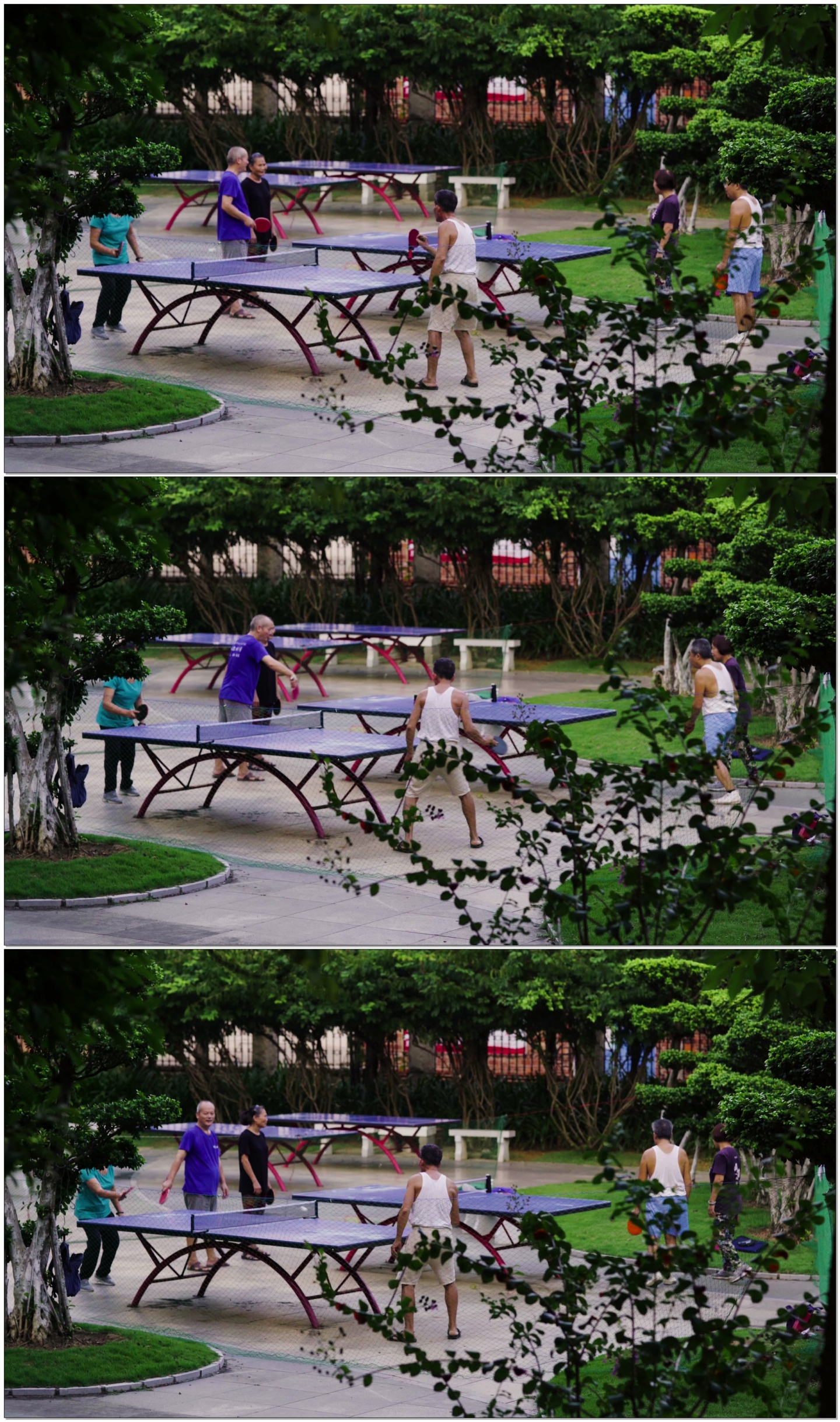 公园老人打乒乓球健康生活