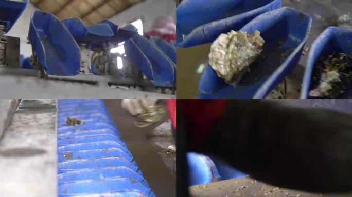海蛎子机器分捡实拍高清实拍 牡蛎清洗