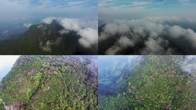 福建高山三明高山航拍视频