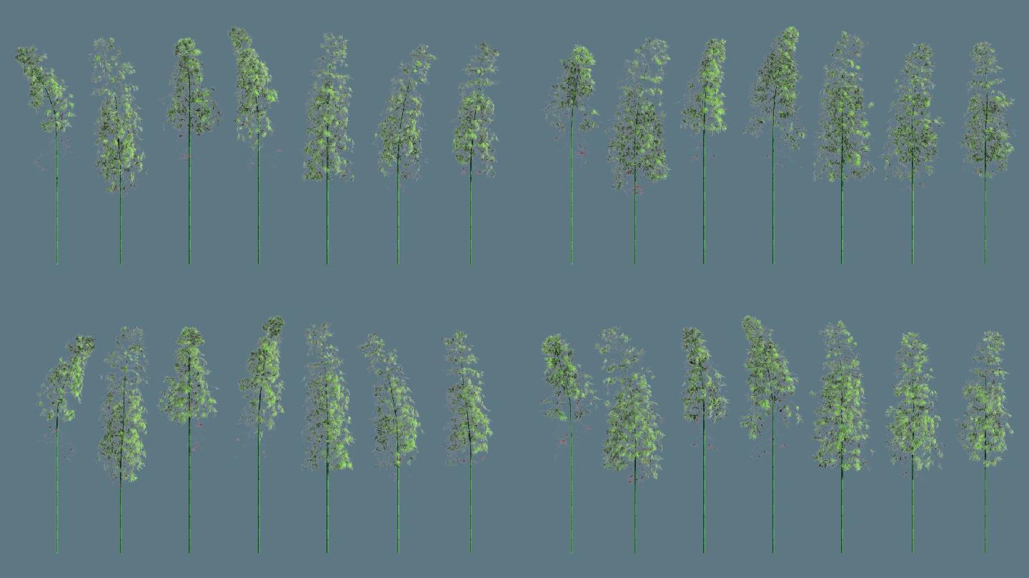 竹子三维模型7种