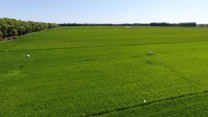 4k农业高清航拍无人机水稻