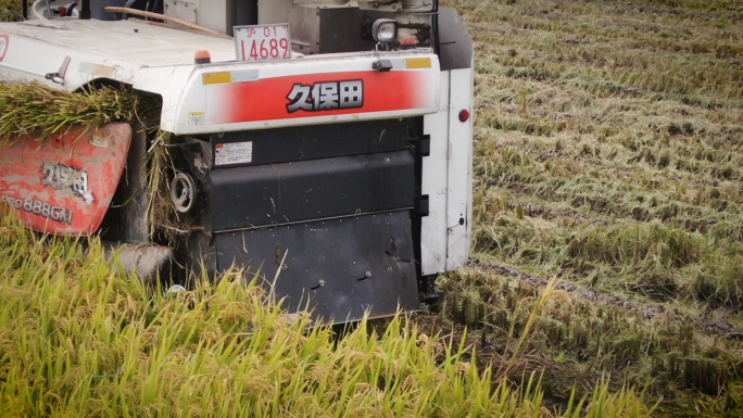 乡村振兴水稻大米种植收割生产扶贫