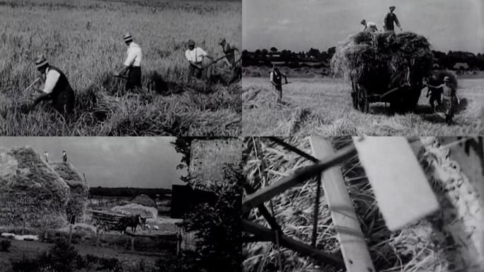 30年代英国农业生产