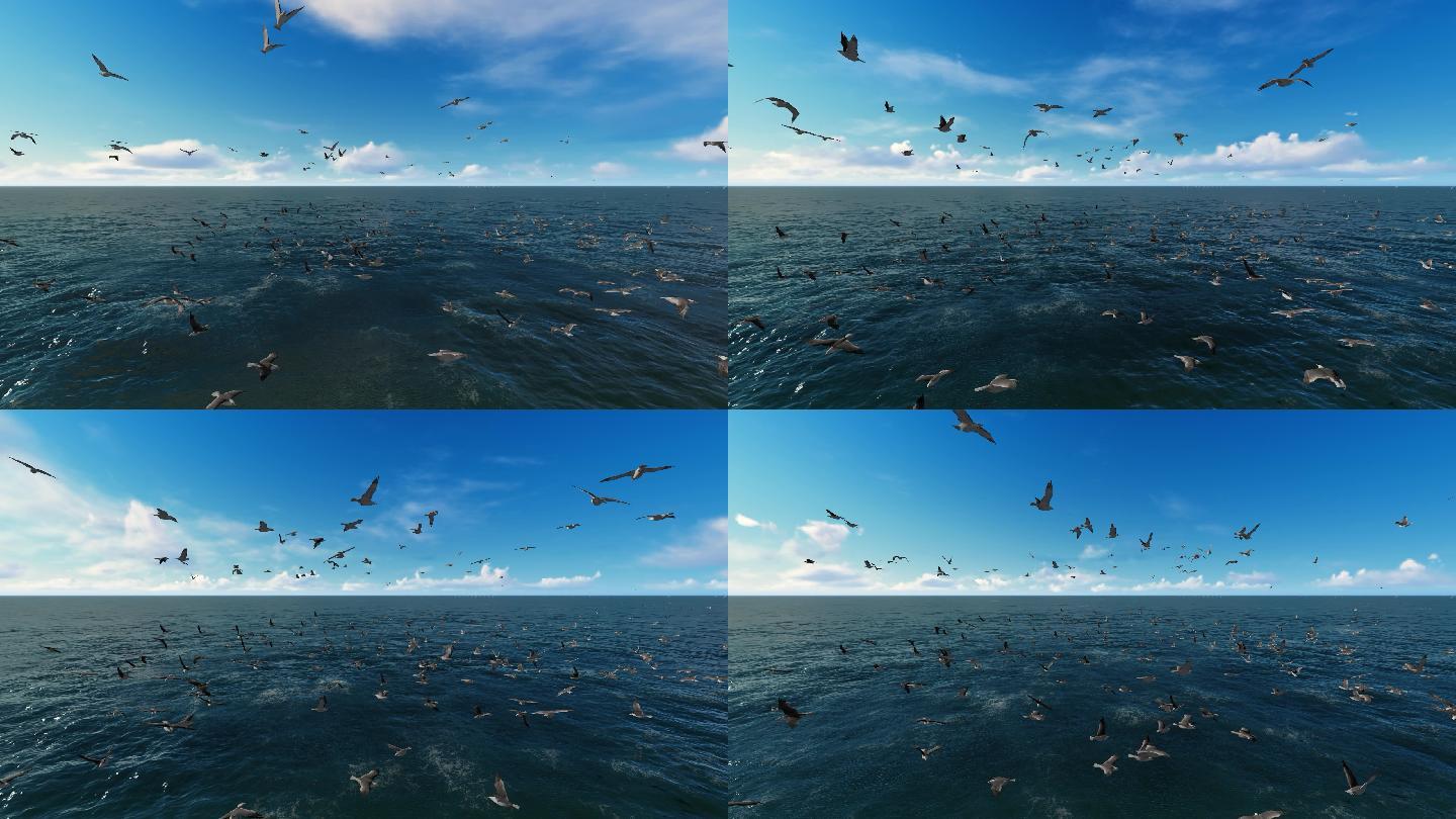 2K海鸥海面海洋蓝天白云3