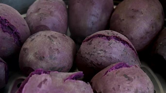 蒸熟紫薯视频