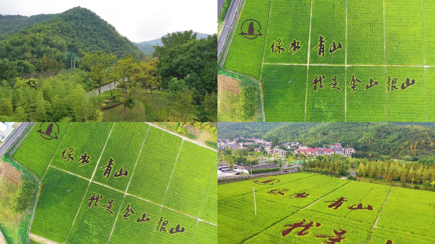 湖州安吉余村绿水青山就是金山银山4K