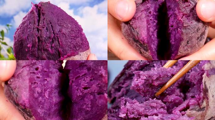 紫薯视频