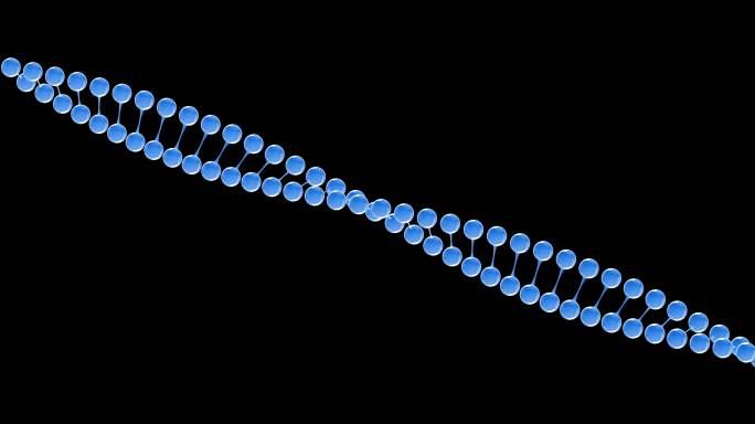 分子03-DNA2_1