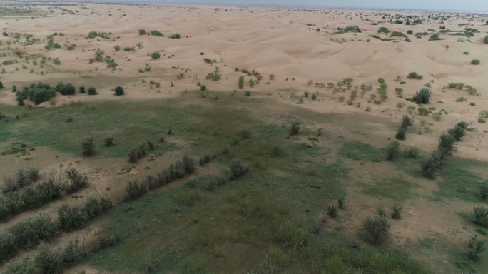 沙漠绿化航拍4K