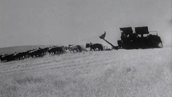 30年代美国农村小麦丰收