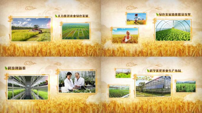 绿色生态农业发展食材餐饮食品行业图文展示