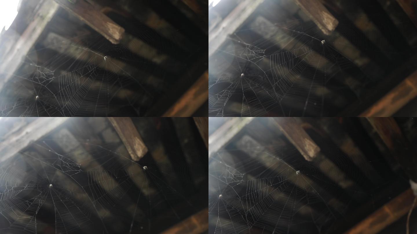 老旧木屋蜘蛛网特写