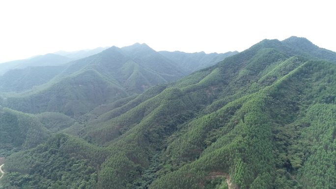 航拍原始森林广西十万大山国家森林公园