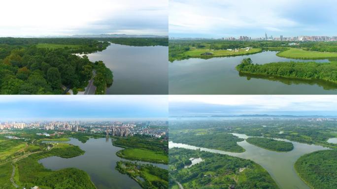 4K成都青龙湖航拍城市森林公园湿地