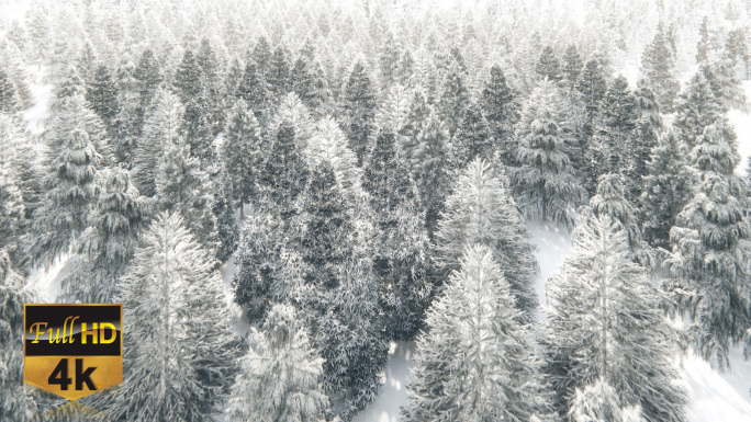 冬日森林雪景树林冬季4K