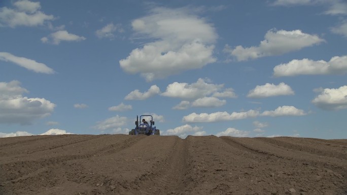 雪人参播种机械播种