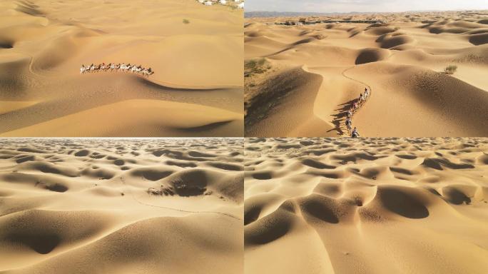 沙漠骆驼景观