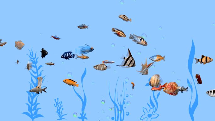 鱼海底动画蓝色气泡