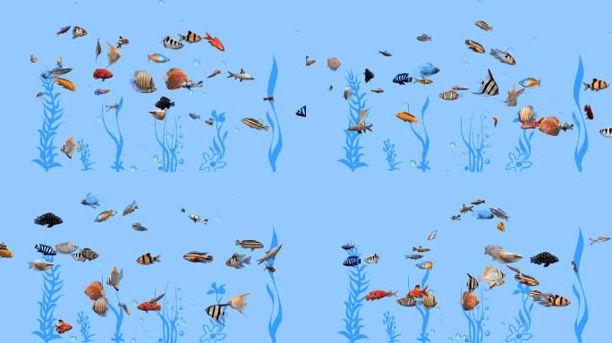 鱼海底动画蓝色气泡