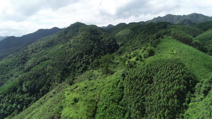 航拍广西原始森林青山绿水十万大山