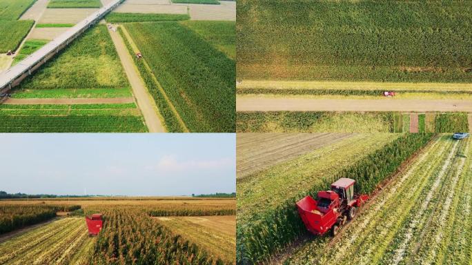无人机航拍玉米收割机在农田作业