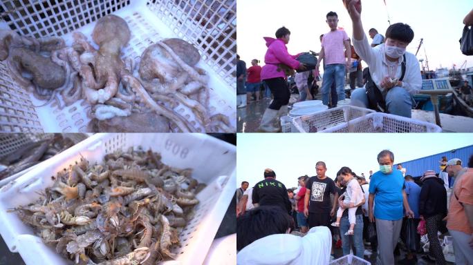 海鲜市场皮皮虾八爪鱼长腿蛸各种海鲜