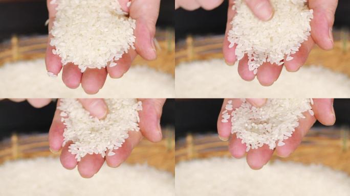 香米白米珍珠米大米
