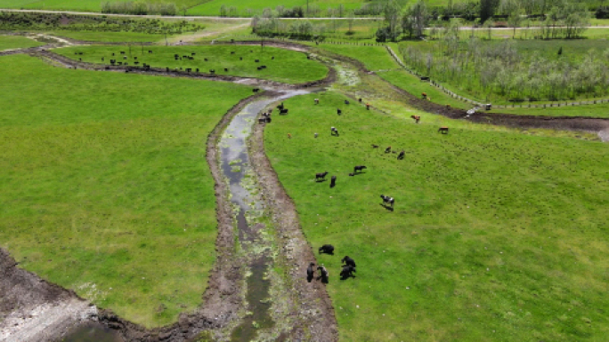 青海内蒙大草原航拍