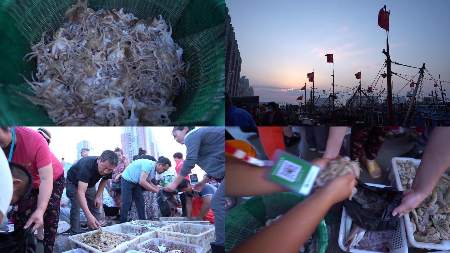 海鲜港口码头八爪鱼皮皮虾新鲜上岸