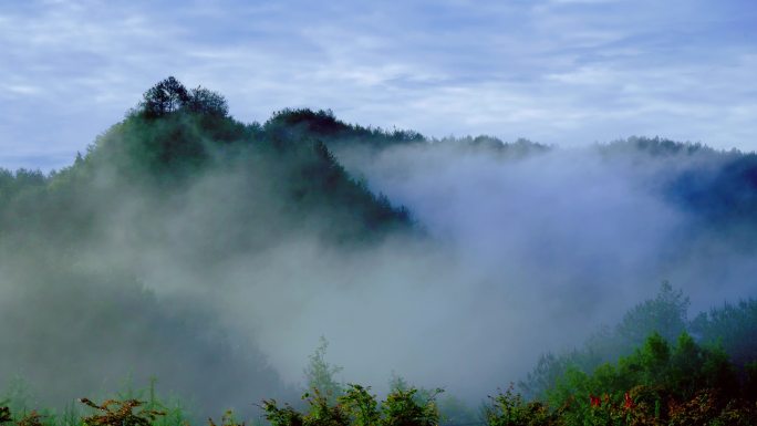 森林绿色生态大山山脉丨4K丨原创实拍