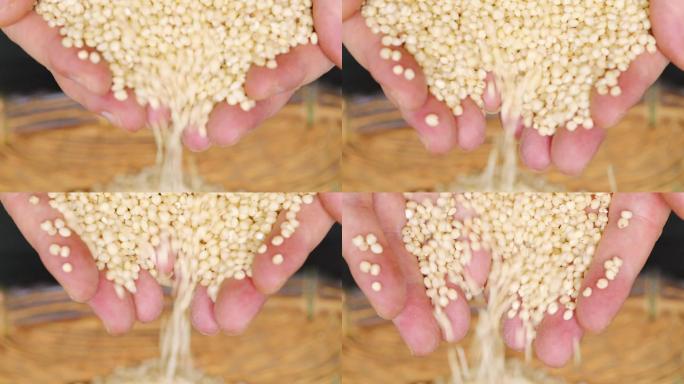 手掌中撒落的高粱米