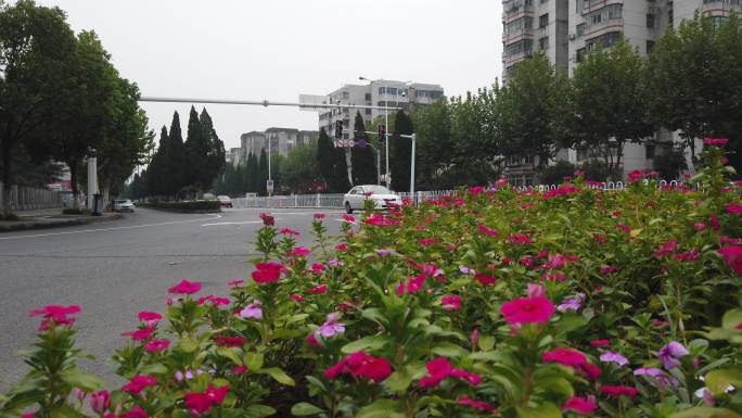 街拍襄阳二汽鲜花迎国庆节