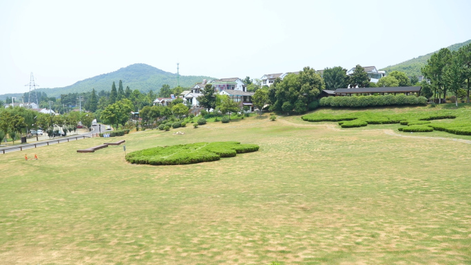 南京黄龙岘茶文化村雨花茶采茶茶园