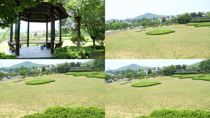 南京黄龙岘茶文化村雨花茶采茶茶园