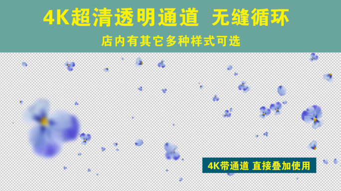 4K浅紫色三色堇花瓣飘