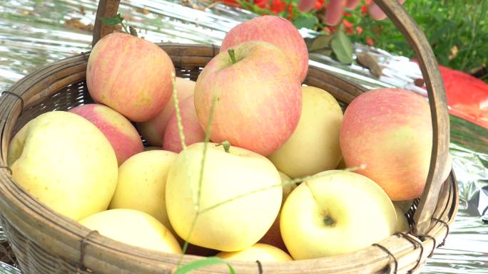 4k篮子里的水果-苹果-水果