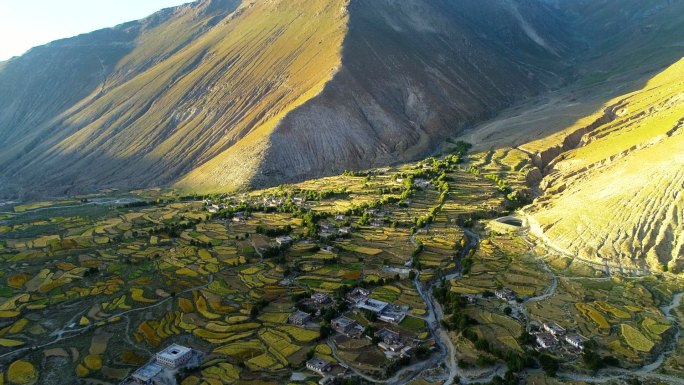 航拍夕阳下的西藏农村藏寨金灿灿青稞地梯田