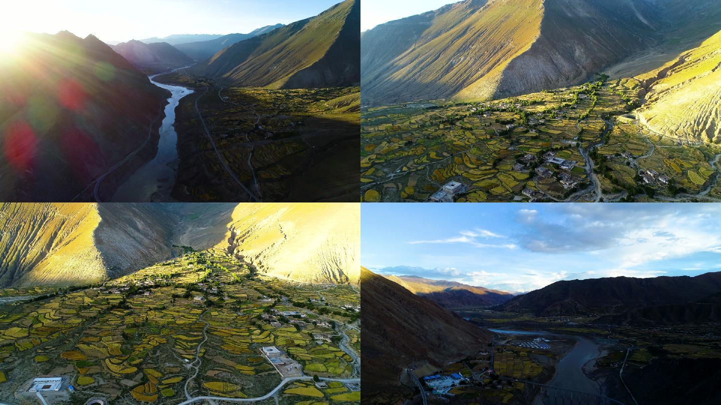 航拍夕阳下的西藏农村藏寨金灿灿青稞地梯田